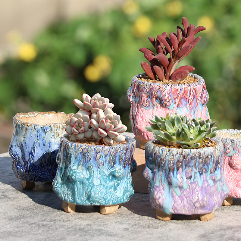 Home & Garden