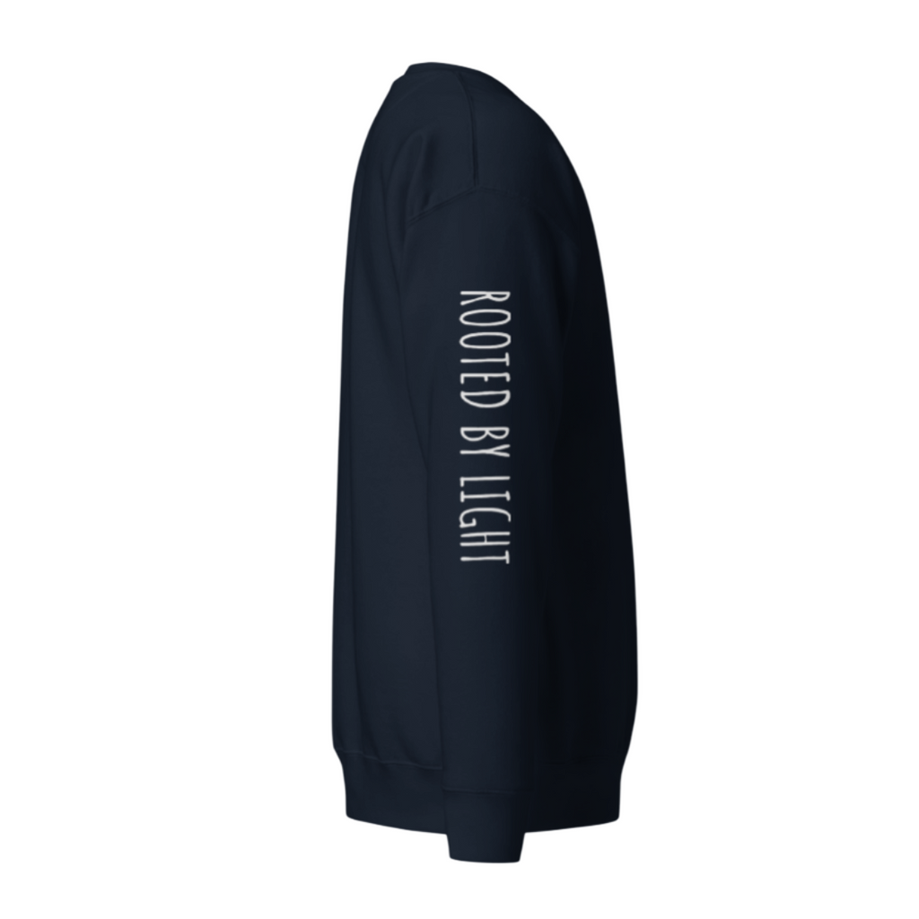 Sacred Stardust Premium Sweatshirt