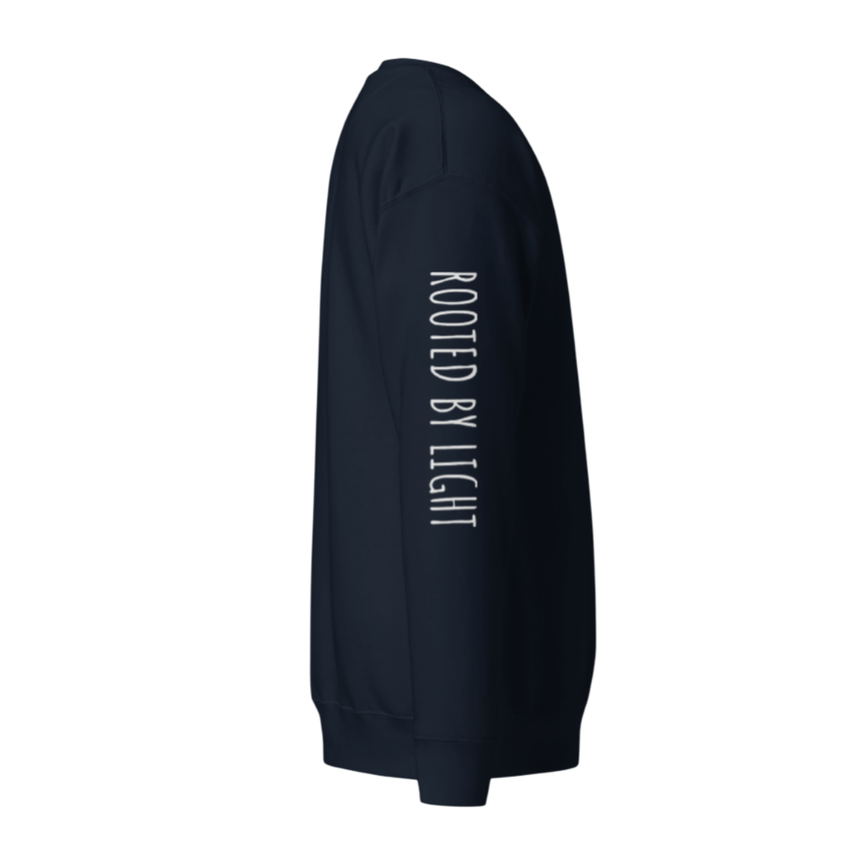 Sacred Stardust Premium Sweatshirt