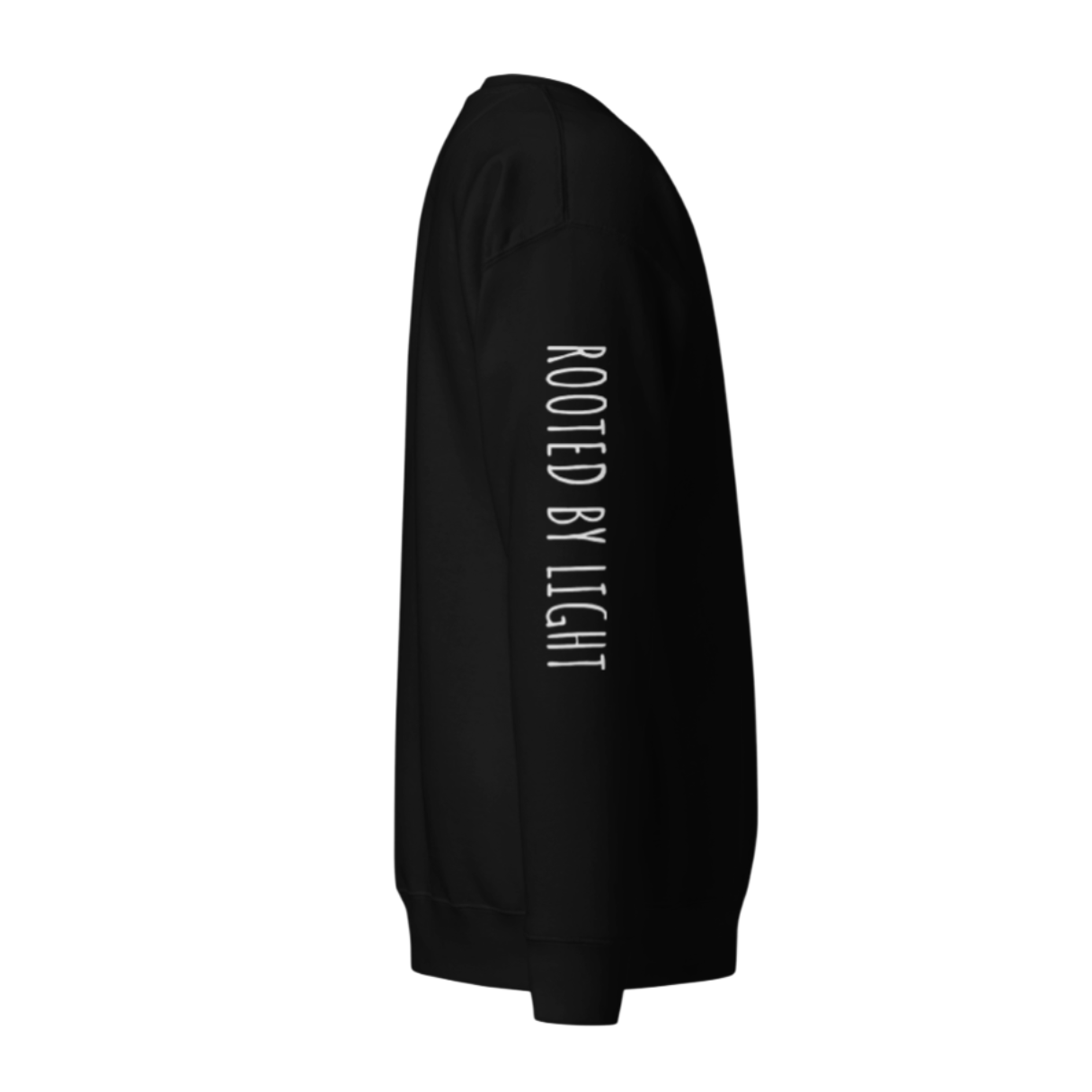 Sacred Stardust Premium Sweatshirt