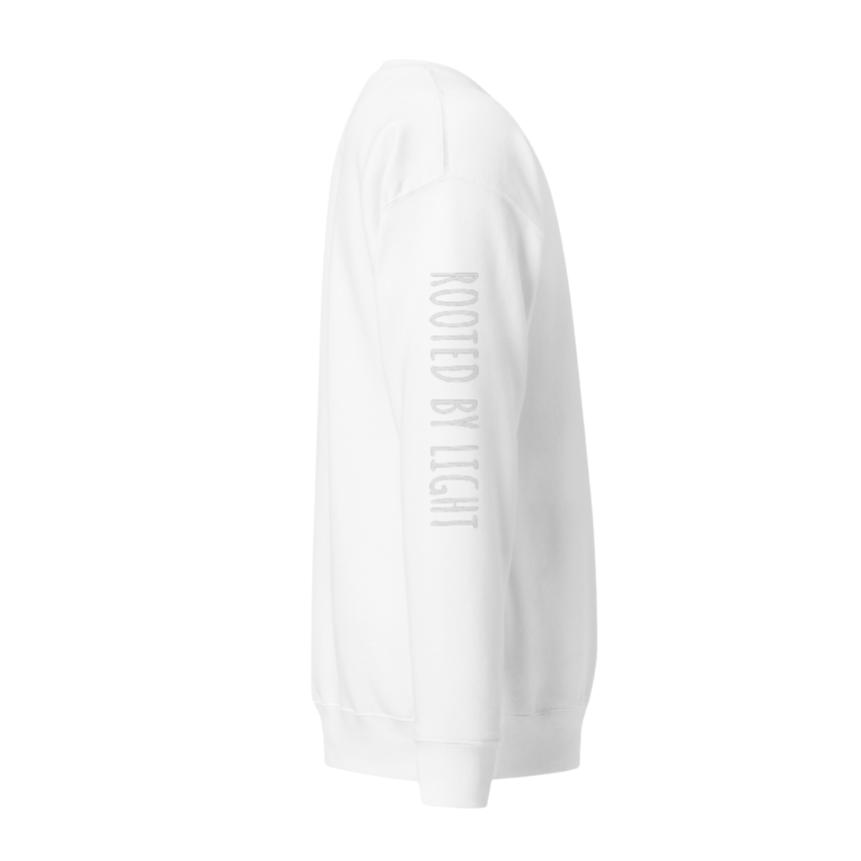 Sacred Stardust Premium Sweatshirt