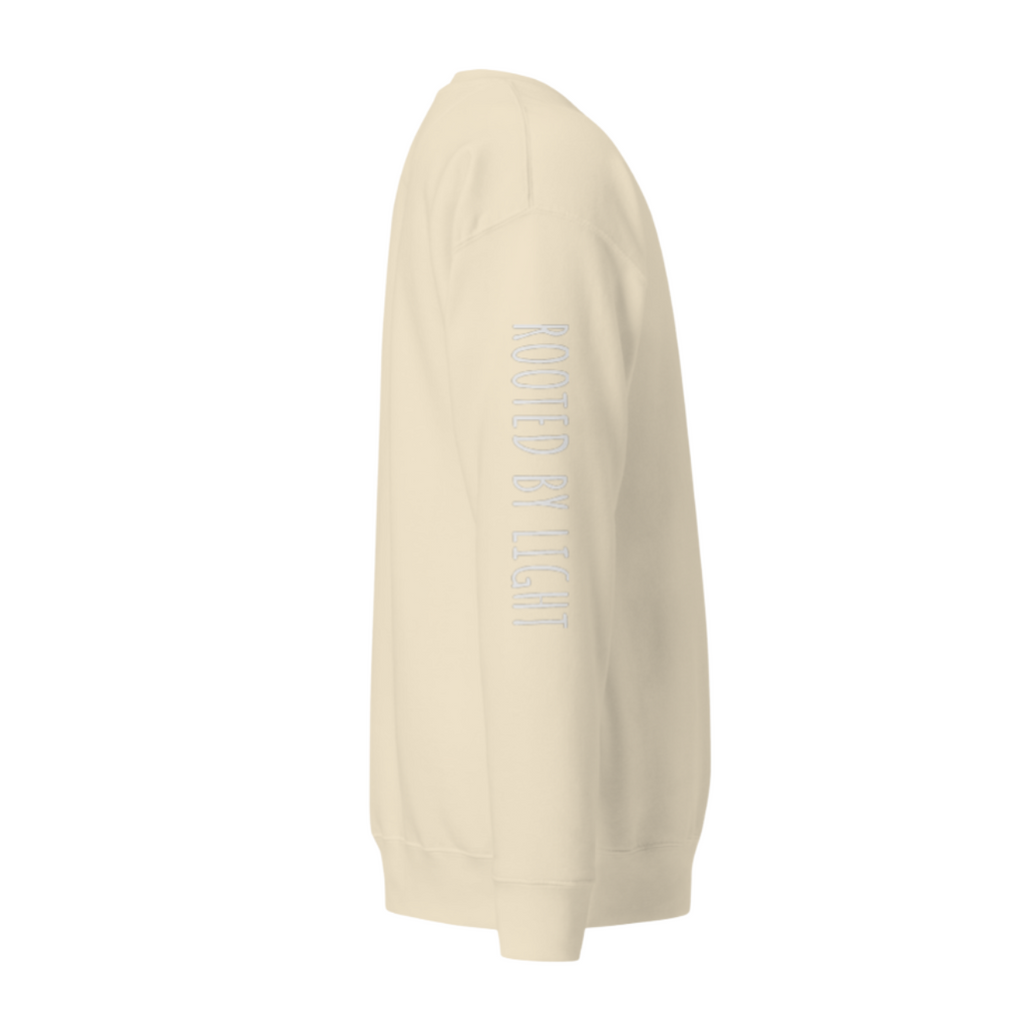 Sacred Stardust Premium Sweatshirt