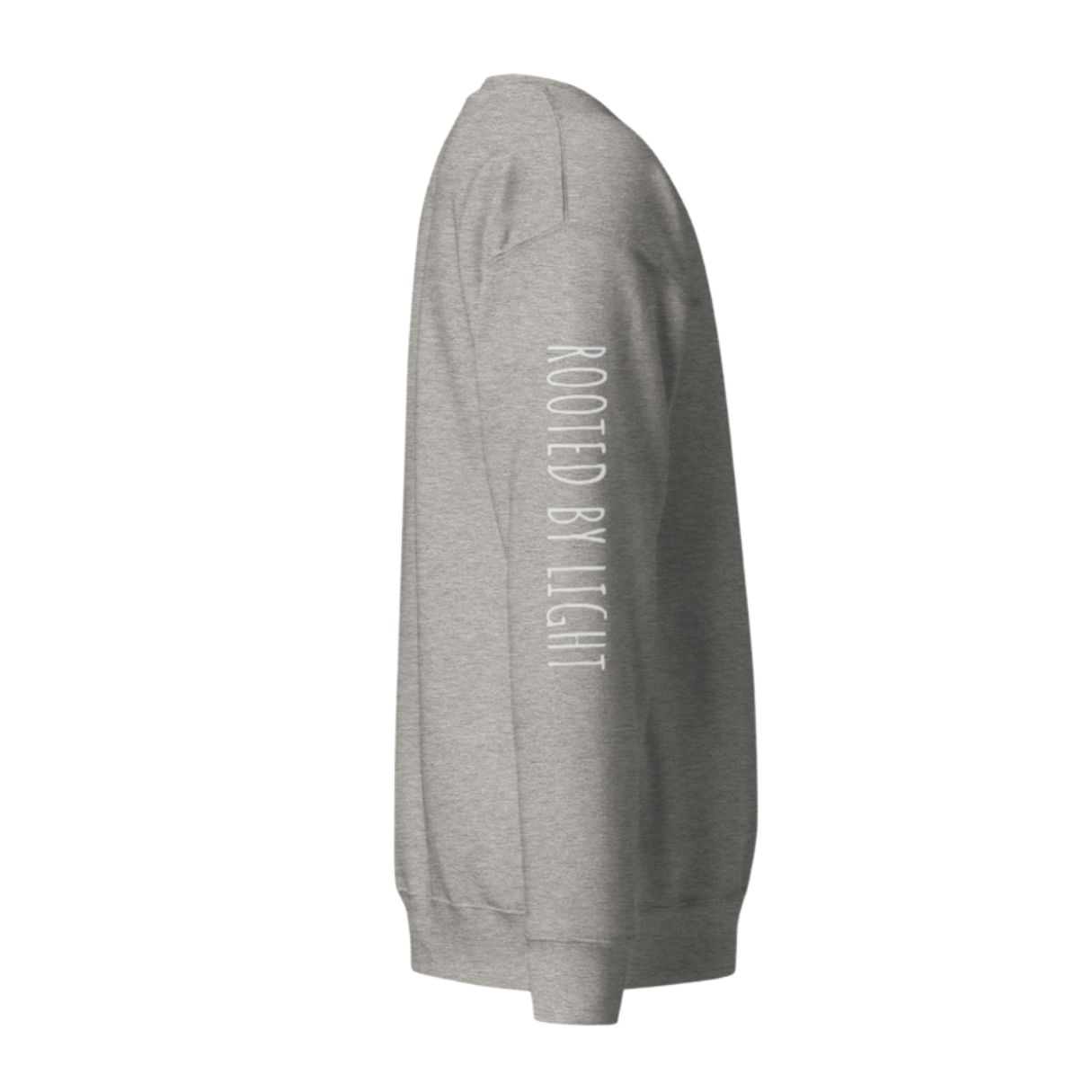 Sacred Stardust Premium Sweatshirt