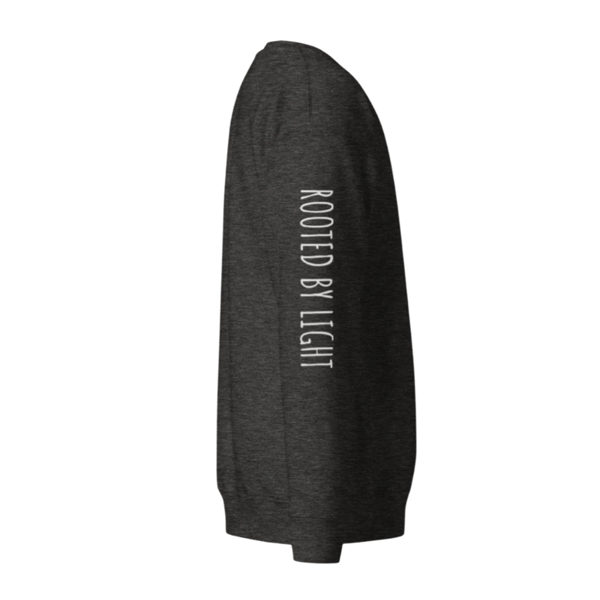 Sacred Stardust Premium Sweatshirt
